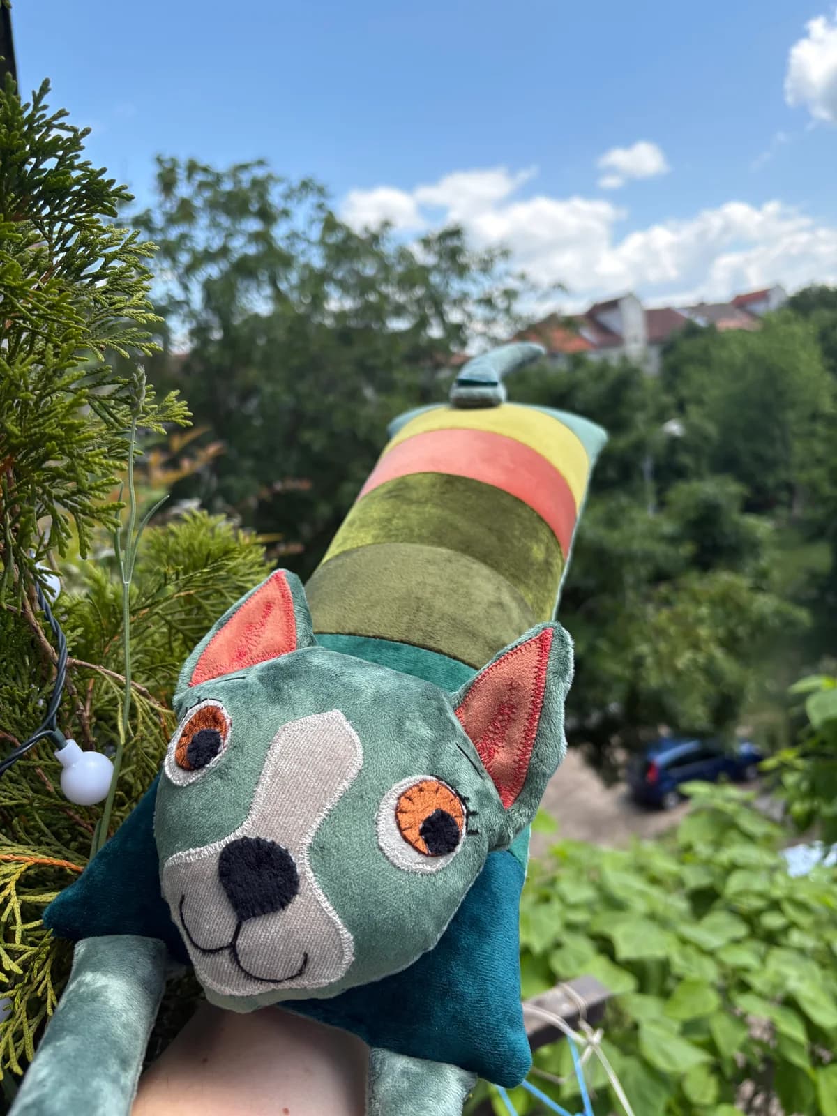 Pisică în dungi — view 2